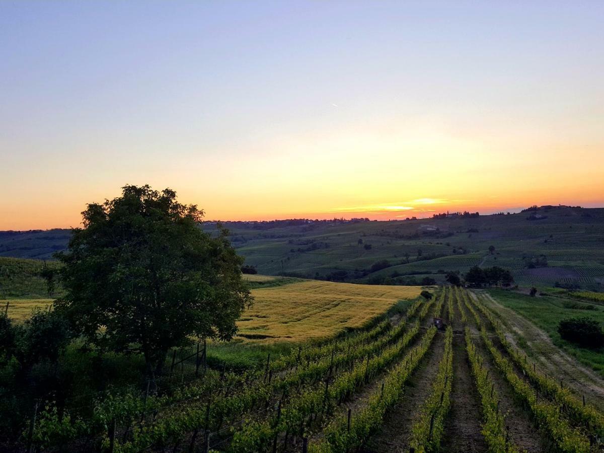 לינה וארוחת בוקר San Damiano al Colle La Terrazza Sui Vigneti-Rovescala מראה חיצוני תמונה