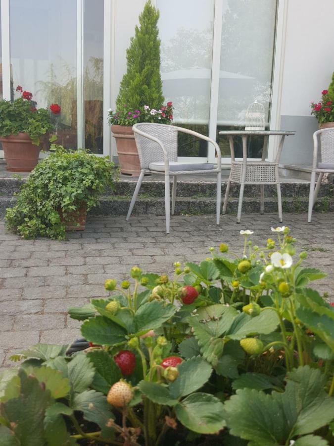 לינה וארוחת בוקר San Damiano al Colle La Terrazza Sui Vigneti-Rovescala מראה חיצוני תמונה
